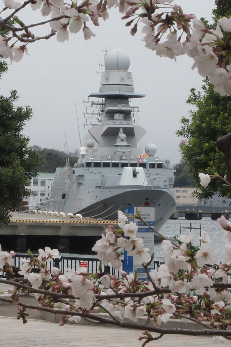 【高い素材】 イタリア海軍横須賀港に寄港202504: 猫にゃんのブログ 絵画